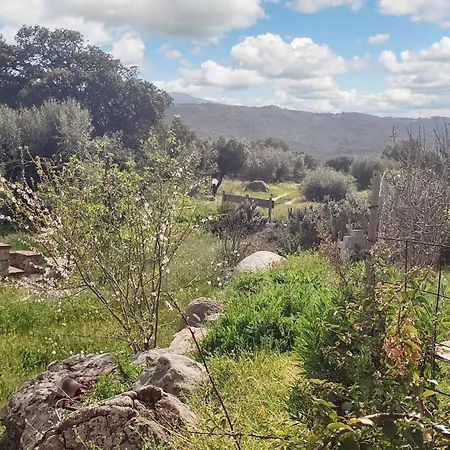 Charming In With Mountain View, 50 Sqm *